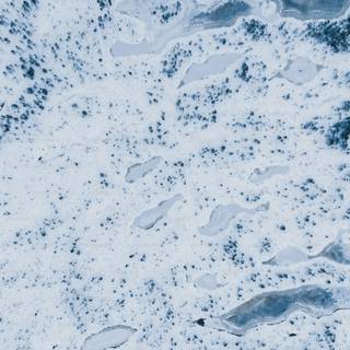 Snow texture wallpaper