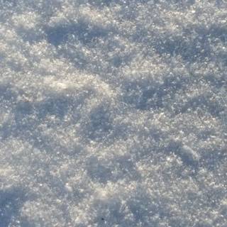 Snow texture wallpaper