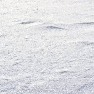 Snow texture wallpaper
