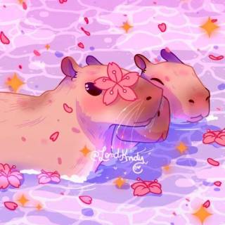 Kawaii capybara wallpaper