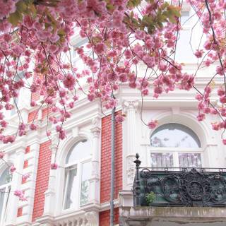 French architecture wallpaper