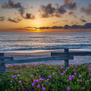 Point Reyes wallpaper