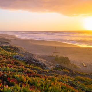 Point Reyes wallpaper
