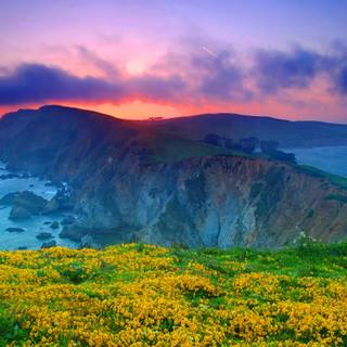 Point Reyes wallpaper