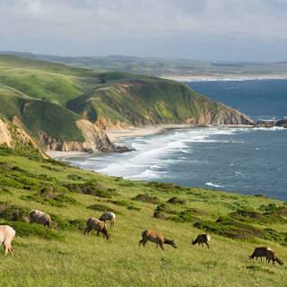 Point Reyes wallpaper