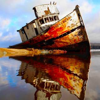 Point Reyes wallpaper
