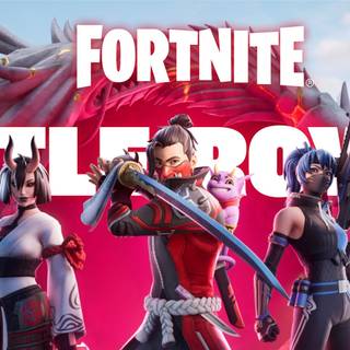 Fortnite covers PS5 wallpaper