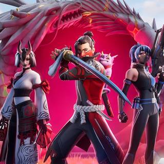 Fortnite covers PS5 wallpaper