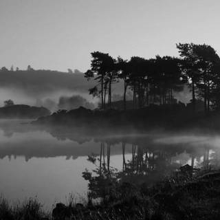 Anime dark grey wallpaper