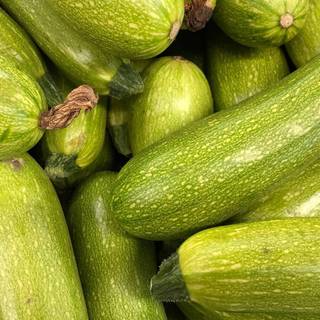 Squash plant wallpaper