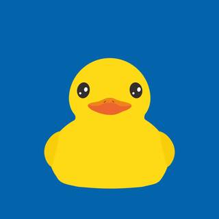 iPhone duck wallpaper