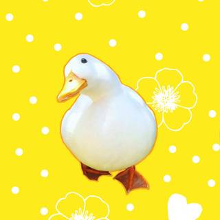 iPhone duck wallpaper