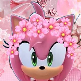 Amy Rose wallpaper