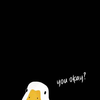 iPhone duck wallpaper