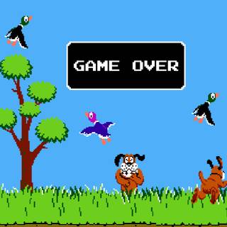 iPhone duck wallpaper