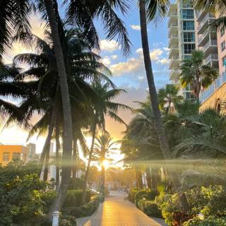 Miami Beach iPhone wallpaper
