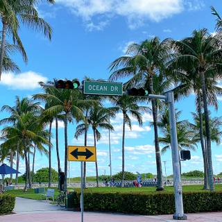 Miami Beach iPhone wallpaper