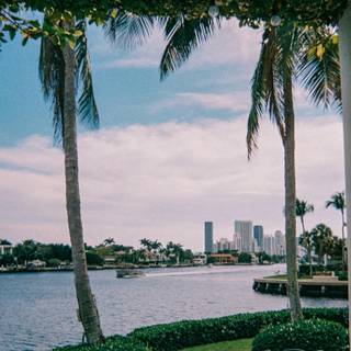 Miami Beach iPhone wallpaper