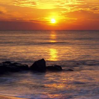 Miami Beach iPhone wallpaper