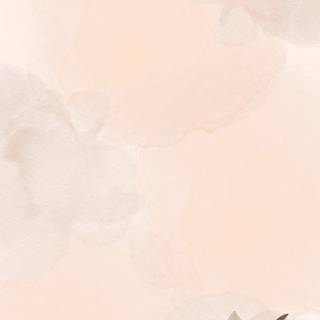 Phone borders wallpaper