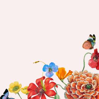 Phone borders wallpaper