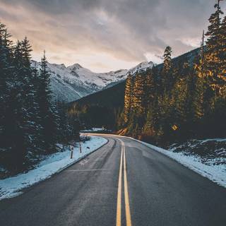 Coolest phone wallpaper