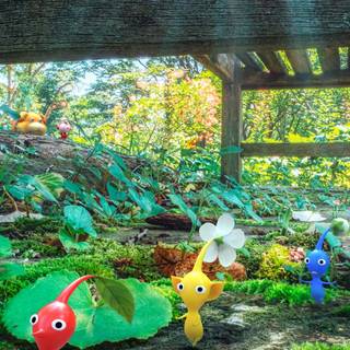 Pikmin iPhone wallpaper