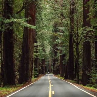 Route 66 iPhone wallpaper