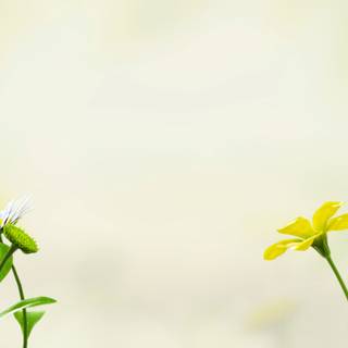 Pikmin iPhone wallpaper