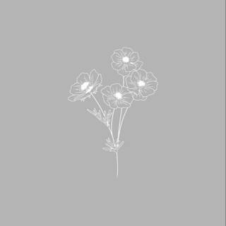 Light gray phone wallpaper