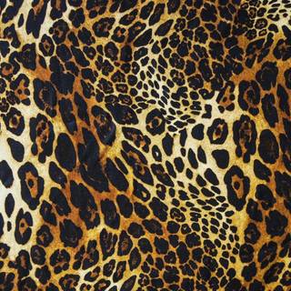 Cheetah print desktop wallpaper