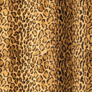 Cheetah print desktop wallpaper