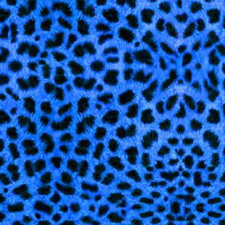 Cheetah print desktop wallpaper