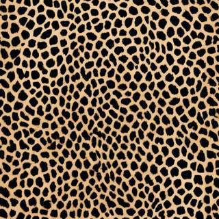 Cheetah print phone wallpaper
