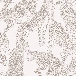 Cheetah print desktop wallpaper