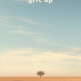 Never Give Up mobile wallpaper