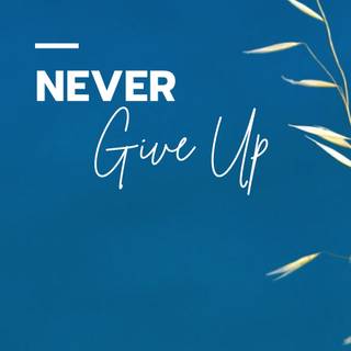 Never Give Up mobile wallpaper