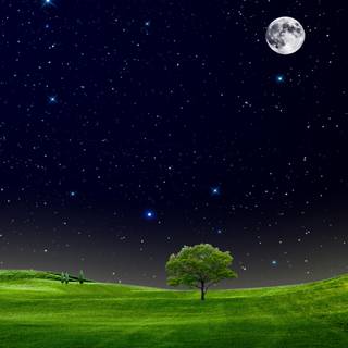 Mobile night sky wallpaper