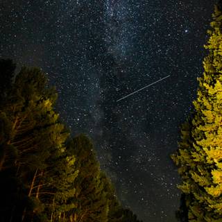 Mobile night sky wallpaper