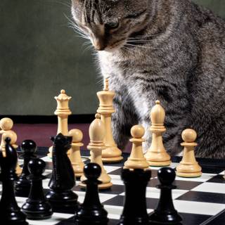 Mobile chess wallpaper