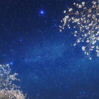 Mobile night sky wallpaper