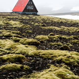 Europe mobile wallpaper