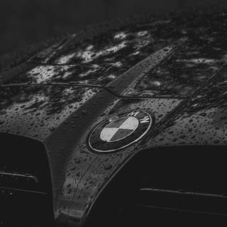 BMW logo mobile wallpaper