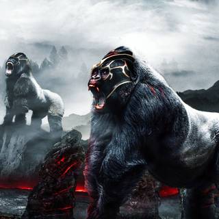 Gorilla mobile wallpaper