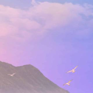 The Sims Mobile wallpaper