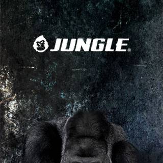 Gorilla mobile wallpaper