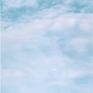 Cinema mobile wallpaper