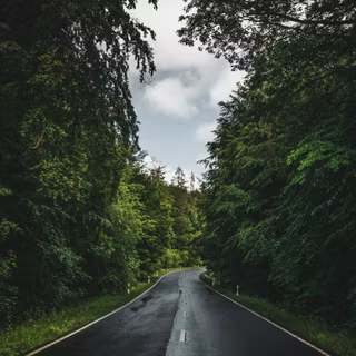 Rain road mobile wallpaper