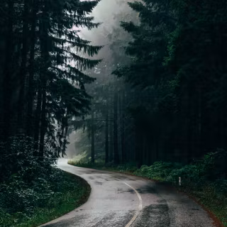 Rain road mobile wallpaper