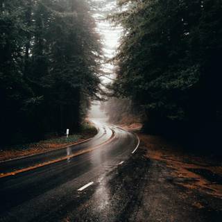 Rain road mobile wallpaper